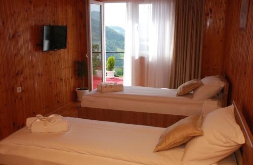 Donji Milanovac House | Apartment Danubius