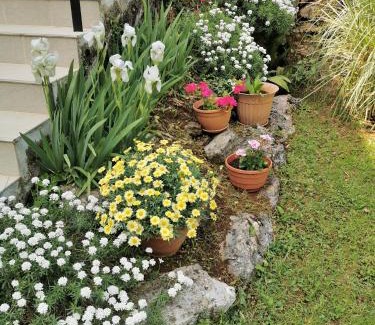 Opatija Apartment | Apartment Delost