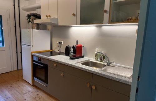 Gruenau im Almtal Apartment | Apartment - direkt am Fluss, balkon, rustikal, idylisch