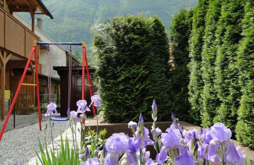 Cezsoca Apartment | Apartment EnTaMa