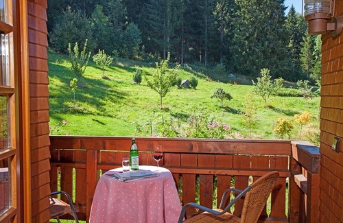 Hinterzarten Apartment | Apartment 'Ferienwohnung Sonne, 35qm' with Mountain View, Shared Terrace and Wi-Fi