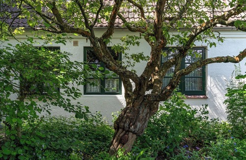 Nordstrand Apartment | Apartment 'Ferienwohnung Silbermöwe' with Shared Terrace, Shared Garden and Wi-Fi