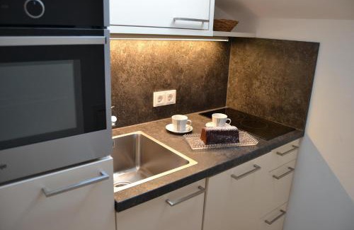 Radstadt Apartment | Apartment - Ferienwohnung Elisabeth
