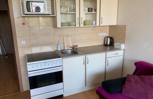 Olomouc Apartment | Apartment Fiala
