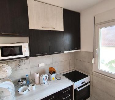 Zemun Apartment | Apartment for a day, Zemun, Altina, two rooms