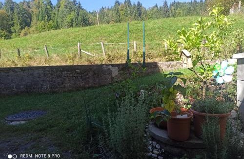 Bad Aussee Apartment | Apartment Gimpelchen