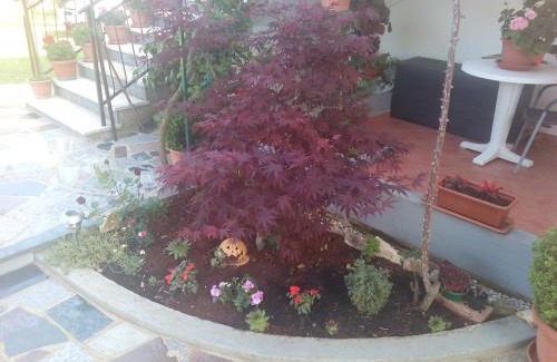 Umag Apartment | Apartment Gogo