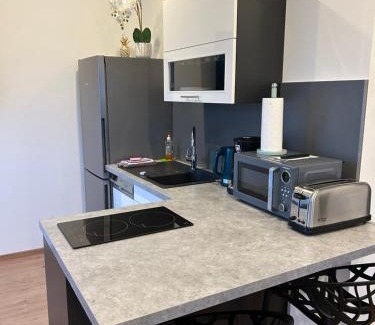 Langenbrucken Apartment | Apartment Im Sand nahe am See