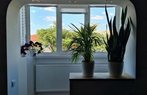 Vitan Apartment | Apartment in Dristor area