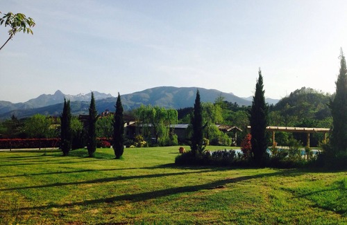 Villa Collemandina Apartment | Apartment in Villa Toscana
