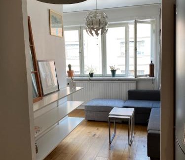 Hammarby Sjostad Apartment | Apartment in So-Fo at Södermalm 24sqm
