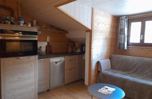 La Clusaz Apartment | Apartment in the center of the village