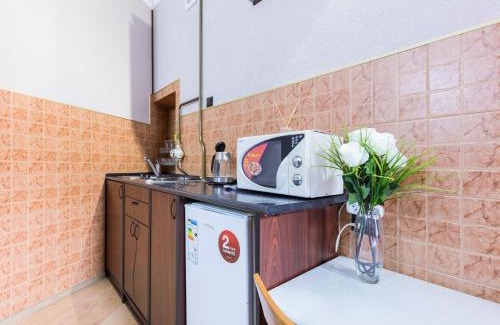 Verkhnie Misto Apartment | Apartment in the historic center