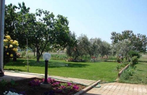 Zaton Apartment | Apartment in Zaton (Zadar) with Terrace, Air conditioning, Wi-Fi, Washing machine (4814-4)