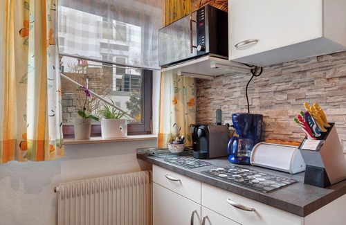 Schwarzenbach Apartment | Apartment 'Janßen-Wehrle' with Mountain View, Private Terrace and Wi-Fi