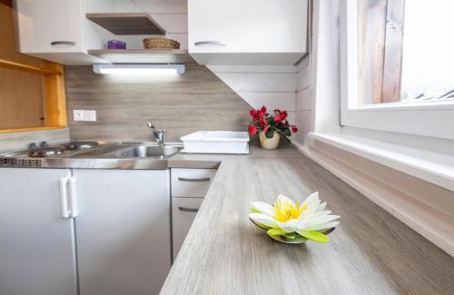 Bohinjska Bistrica Apartment | Apartment Kikelj