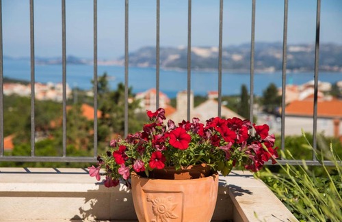 Zvekovica Apartment | Apartment Konkula