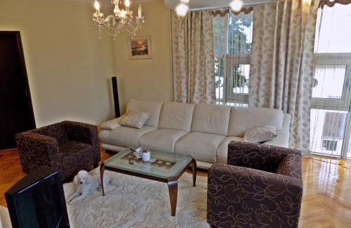 Kragujevac Apartment | Apartment Kragujevac