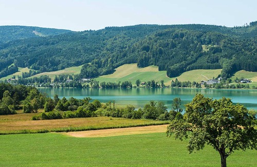 Zell Am Moos Apartment | Apartment Lake View - Guest house Krög