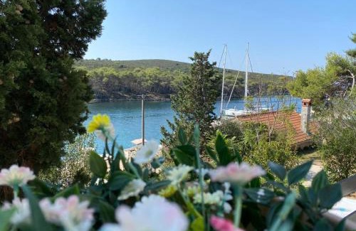 Molat Apartment | Apartment Lavanda