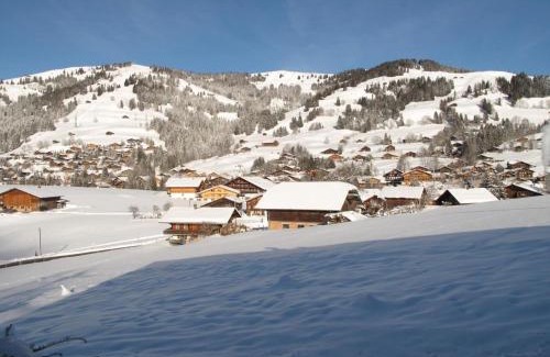 Schoenried Apartment | Apartment Les Hivernants - EG links by Interhome