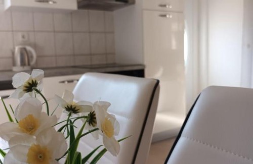 Zupa dubrovacka Apartment | Apartment Luka 2 near Dubrovnik
