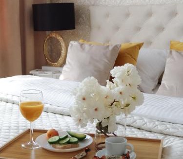 gmina Bobrowniki Apartment | Apartment LUXOR - Airport Katowice-Pyrzowice