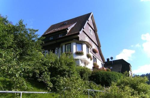 Triberg im Schwarzwald Apartment | Apartment Maier-1 by Interhome