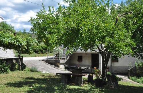 Buzet Apartment | Apartment Marioni