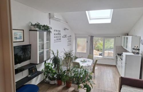 Kneza Apartment | Apartment Maslina