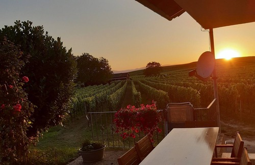 Oberrotweil Apartment | Apartment 'Mit 65qm' with Private Terrace, Private Garden and Wi-Fi