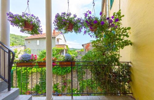 Bicine Apartment | Apartment Nino