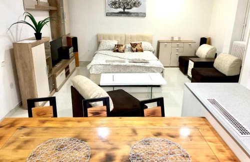 Pancevo Apartment | Apartment on a river avenue