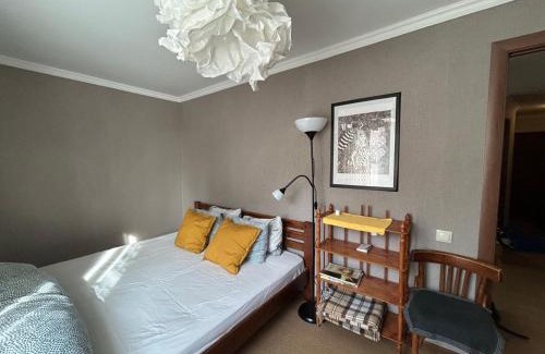 Rivne Apartment | Apartment on Knyahyni Ol'hy Street