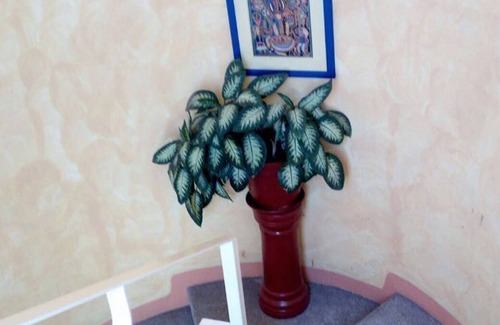 Lazaro Cardenas Apartment | Apartment Pablito - .