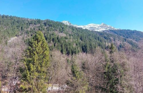 Les Contamines-Montjoie Apartment | Apartment Pierres Blanches F et H-20 by Interhome