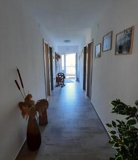 Veli Losinj Apartment | Apartment PinoAppLosinj