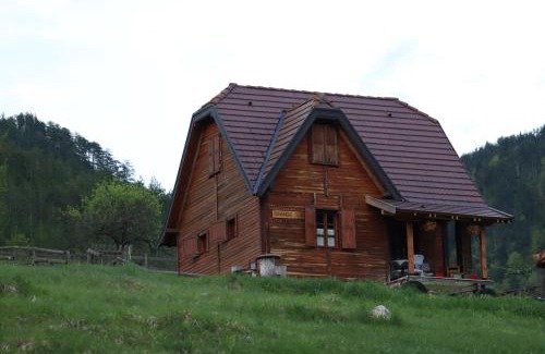 Bajina Basta Apartment | Apartment 'Planinsko selo'