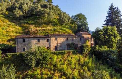 Pescia Apartment | Apartment Podere Villa-Apt- Mezzo by Interhome