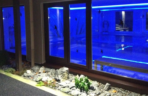 Bad Salzuflen Apartment | Apartment residence at the Kurpark (app. 31) swimming pool / sauna
