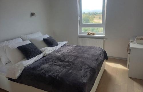 Varazdin Apartment | Apartment Rosa