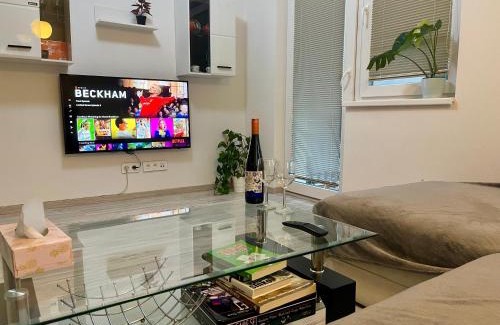 Dubravka Apartment | Apartment Rosnička, Perfect Location with 24h Checkin, Balcony, AC & Free Parking