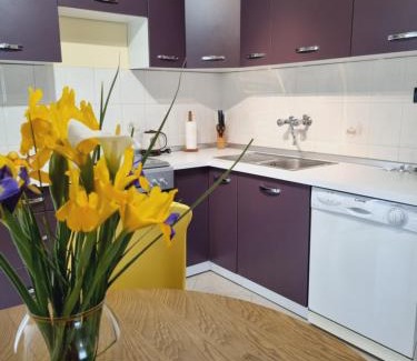 Pazin Apartment | Apartment Sanja