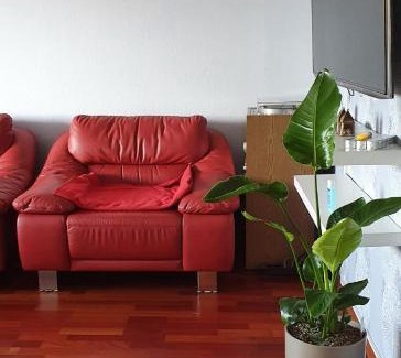 Radevormwald Apartment | Apartment Santana 59 mit Aufzug und Balkon