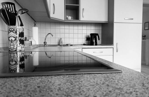 Barenburg Apartment | Apartment, shower, toilet, 2 bedrooms - Jürgens - Ferienwohnung Merle