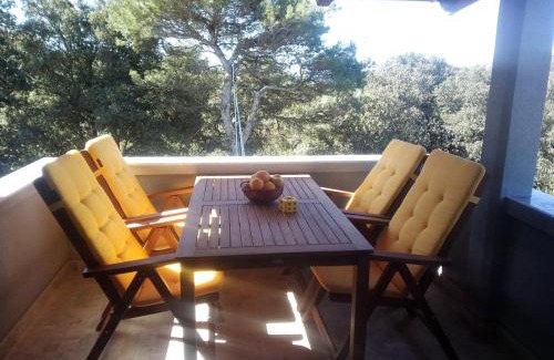 Silba Apartment | Apartment Silba 17603b