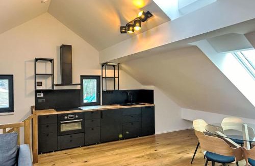 Janske Lazne Apartment | Apartment Ski&Bike Siréna 4-2 by Interhome