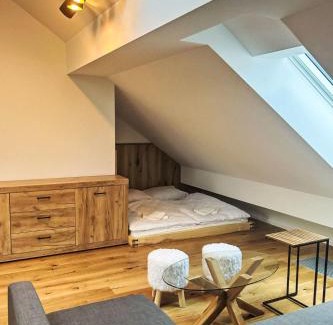 Janske Lazne Apartment | Apartment Ski&Bike Siréna 4-2 by Interhome