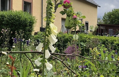 Neunkirchen Apartment | Apartment 'Steinhagen' with Private Terrace and Wi-Fi