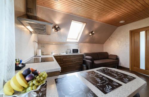 Uzhhorod Apartment | Apartment Sweethome FREE PARKING Mountain View